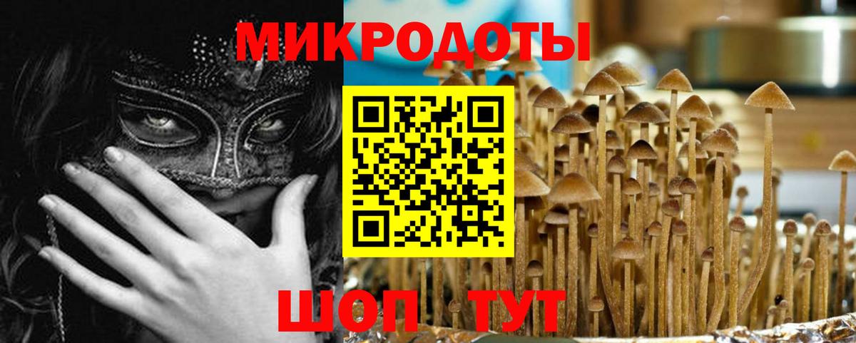 Кировск  даркнет сайт  Вход с VPN  Галлюциногенные грибы Magic Shrooms 